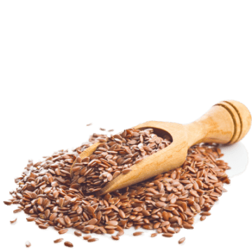 Sjeme