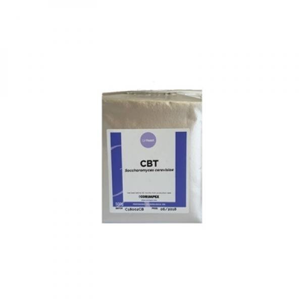 KVASAC CX LINYEAST CBT 100 G