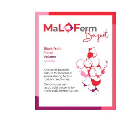 BAKTERIJE MALOFERM BOUQUE 25HL