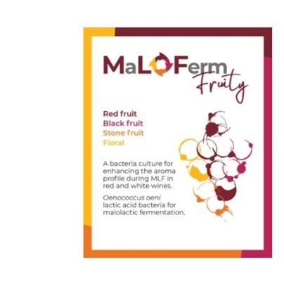BAKTERIJE MALOFERM FRUITY 25HL