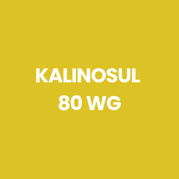KALINOSUL 80 WG 1 KG