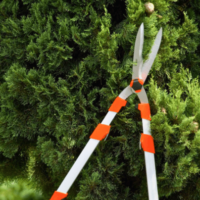 Ručne škare za živicu 73-87 cm Stocker 2090