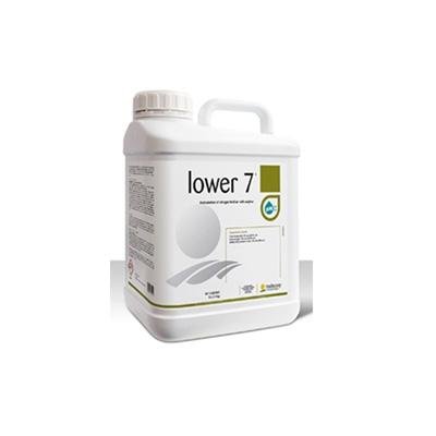 LOWER 7 - 1 L