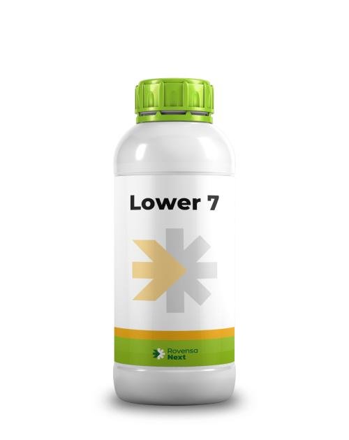 LOWER 7 - 1 L