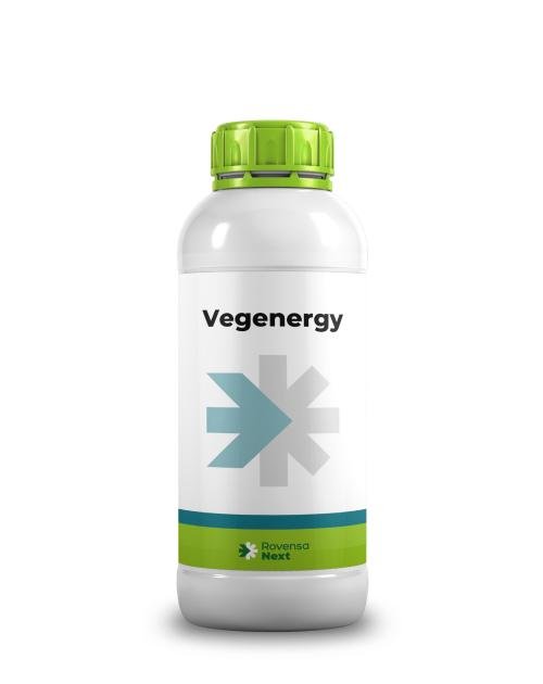 VEGENERGY 1 L